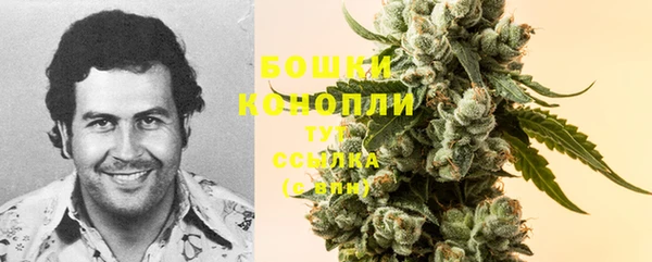 молекула духа Гусев